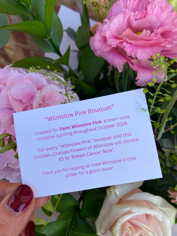 (Paint) Wilmslow Pink