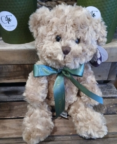 Chelsea Teddy Bear