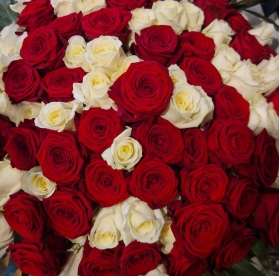 Ultimate Luxury 100 Roses