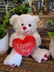 I Love You Teddy Bear