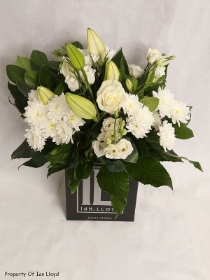 Ian Lloyd   White Elegance