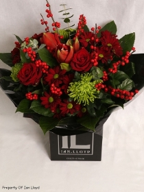 Ian Lloyd Festive   Merry Berry