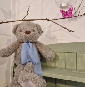 Wilmslow Ted